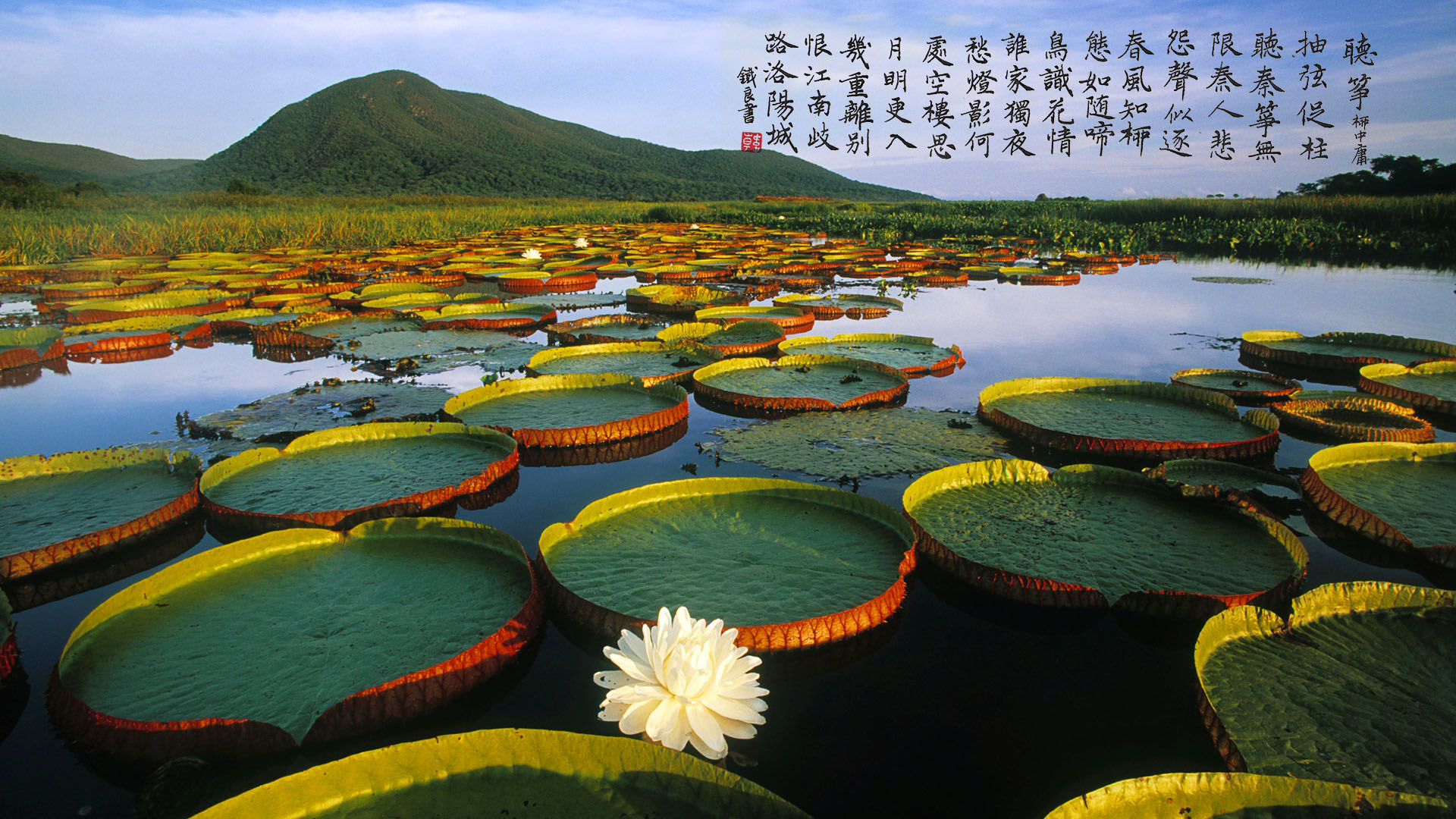 寒露：君子以矫枉过正