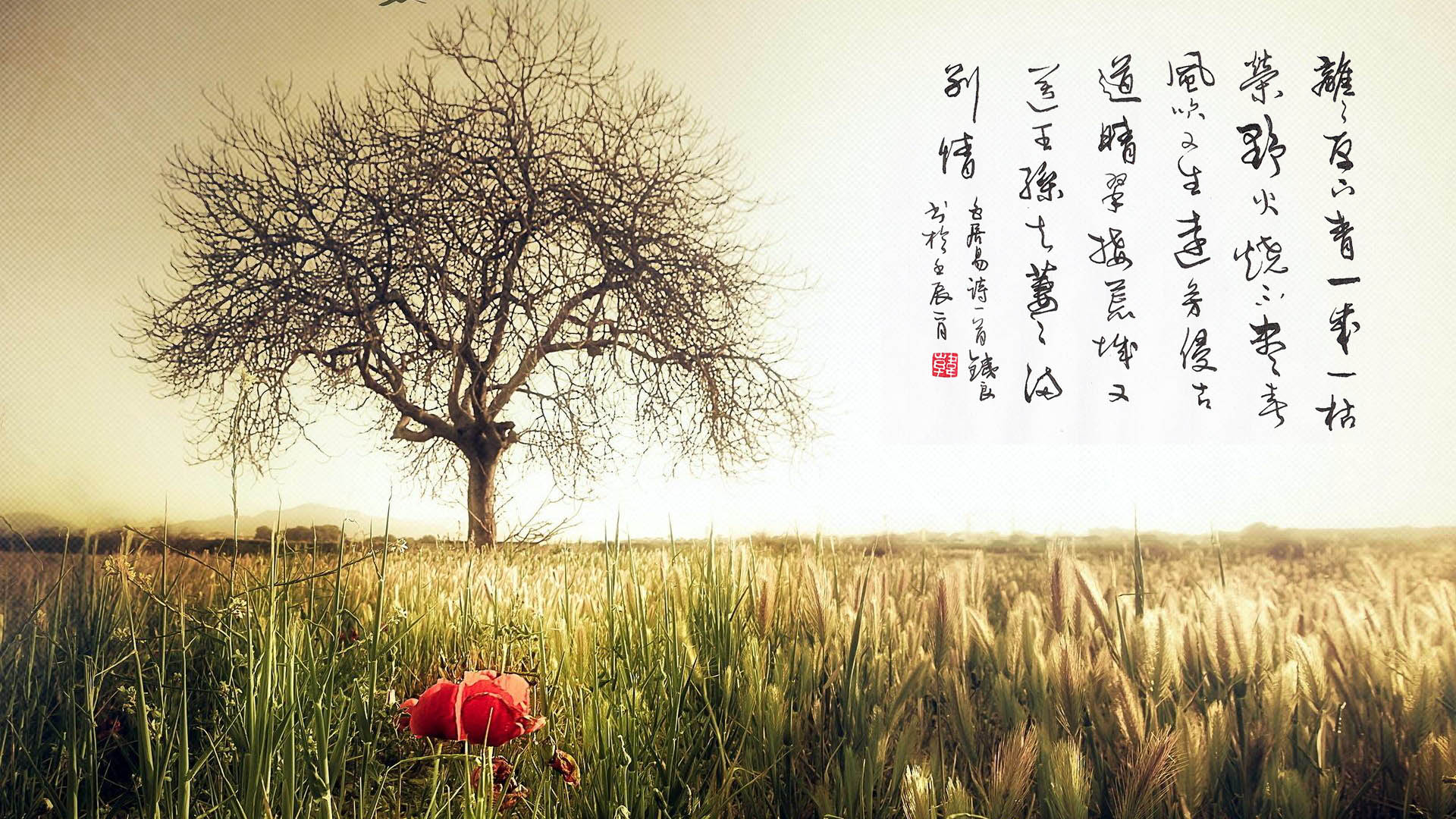 立春：天下雷行而育万物