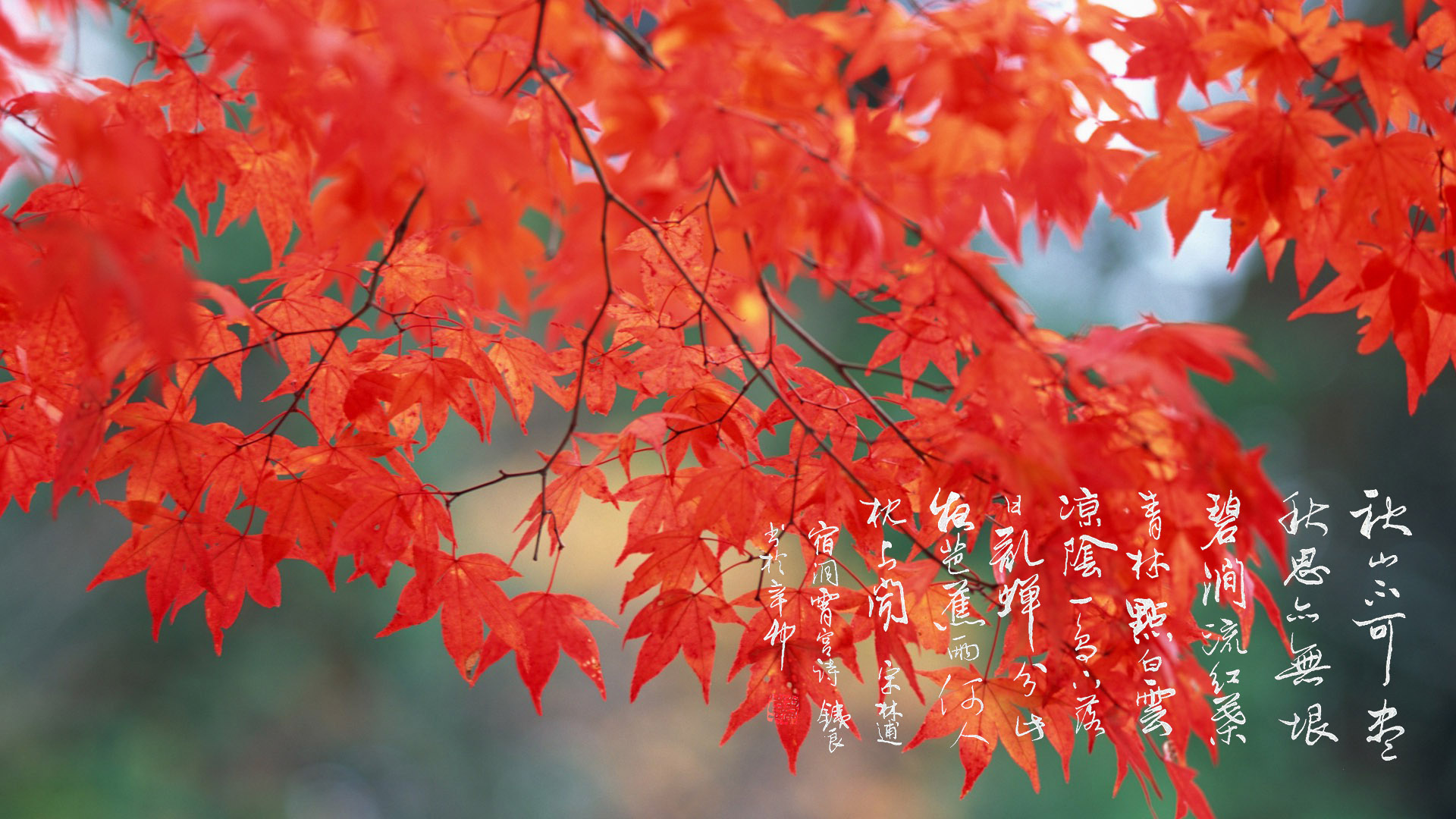 中秋节由来、习俗和相关诗词