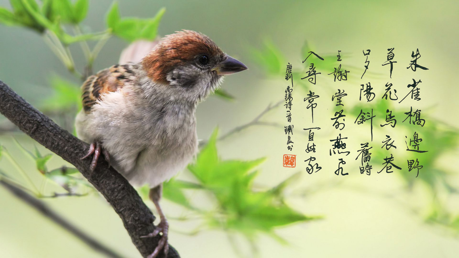 元宵节由来、习俗和相关诗词