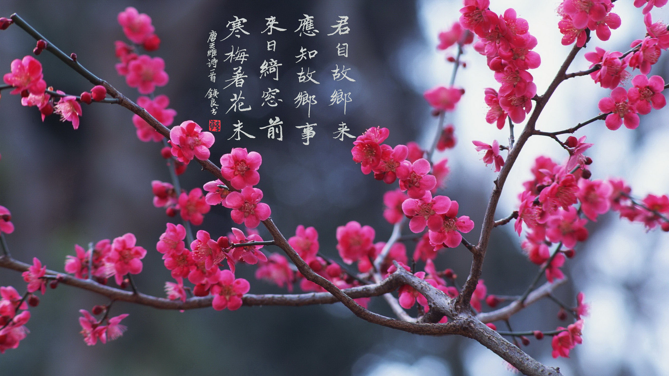 七夕节由来、习俗和相关诗词
