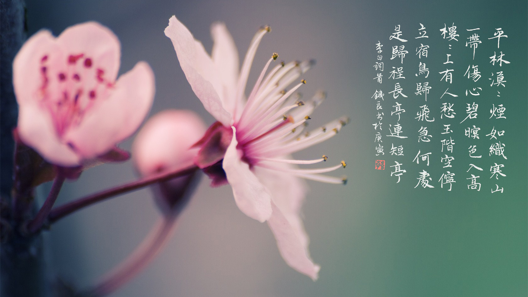大寒：君子以修省