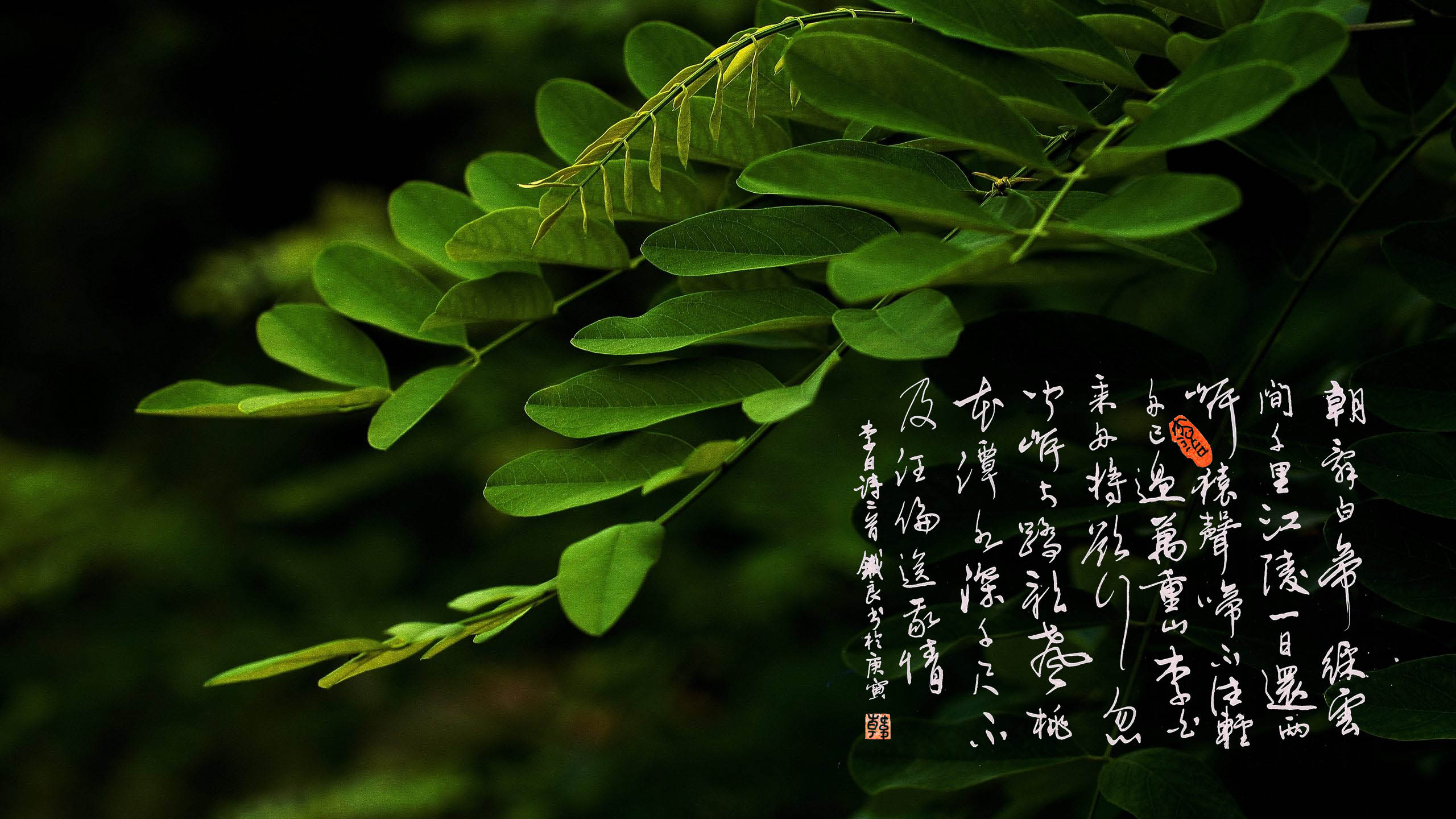 立秋：君子以作事谋始